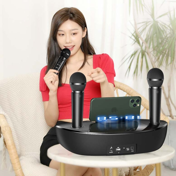 SDRD ST2020 Outdoor Portable Family KTV Live Singing Wireless Bluetooth Speaker Dual Microphone