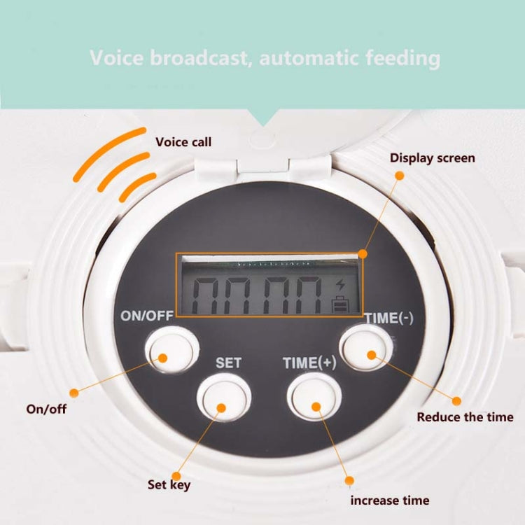 Pet Bowl Six-hole Intelligent Timing Feeder Timing Quantitative Automatic Feeder