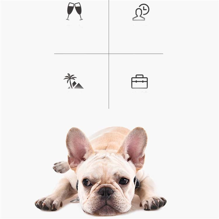 Pet Bowl Six-hole Intelligent Timing Feeder Timing Quantitative Automatic Feeder