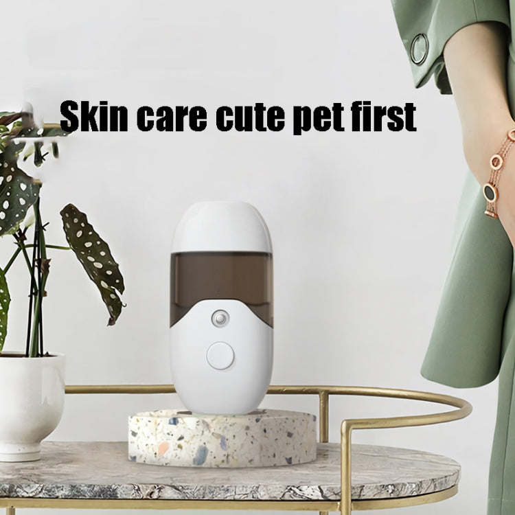 2 PCS Nano Spray Water Meter USB Charging Handheld Portable Acohol Sterilizer Cold Spray Makeup Humidifier