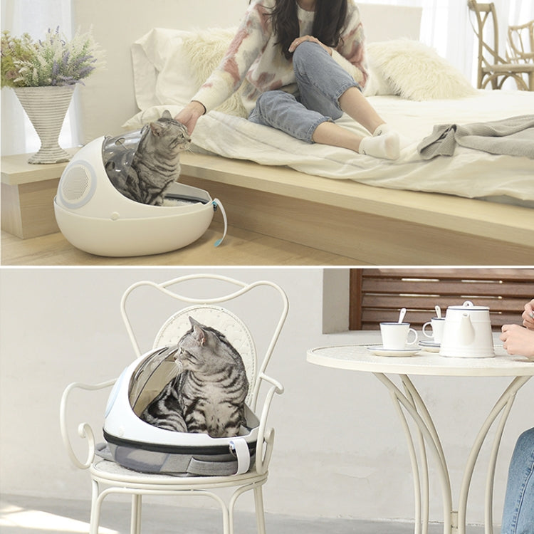 Pet Transparent Space Capsule Dog Carrying Bag