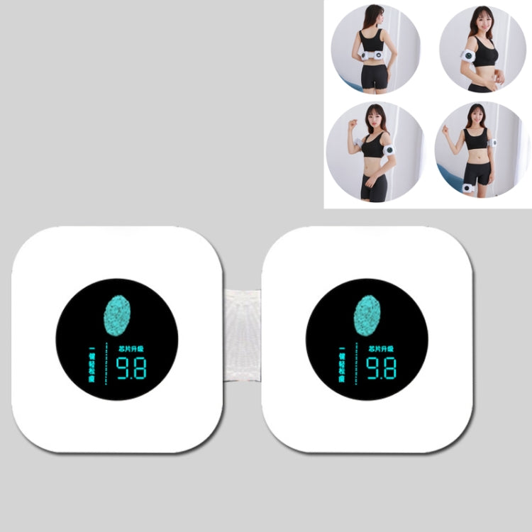 USB Tummy Vibration Massage Slimming Machine Body Shaping Belt Slimming Machine, Style:Dual Model