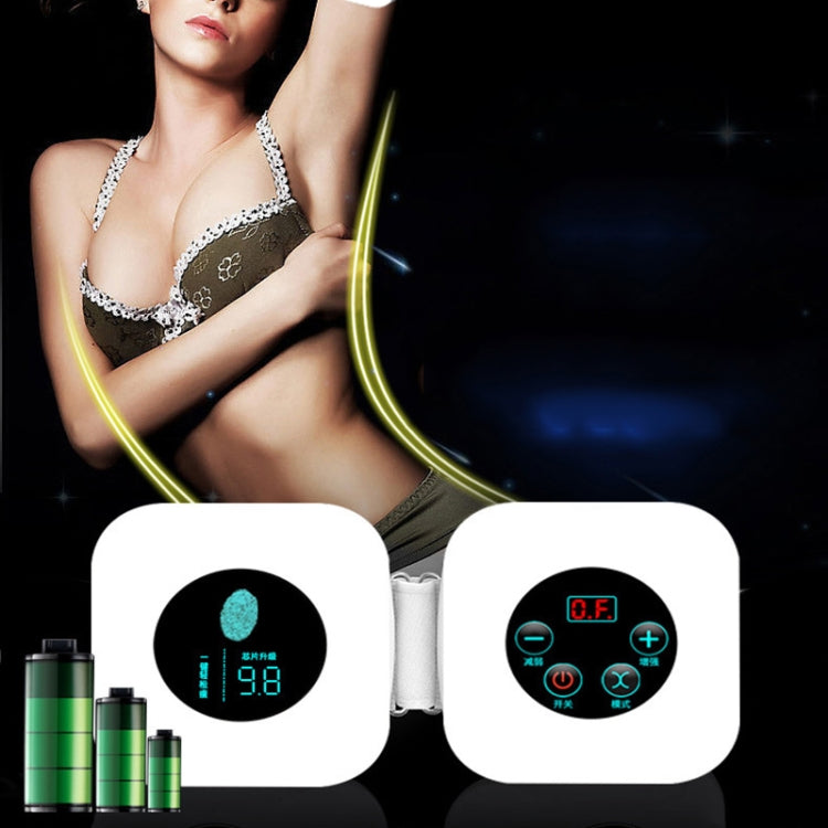 USB Tummy Vibration Massage Slimming Machine Body Shaping Belt Slimming Machine, Style:Dual Model