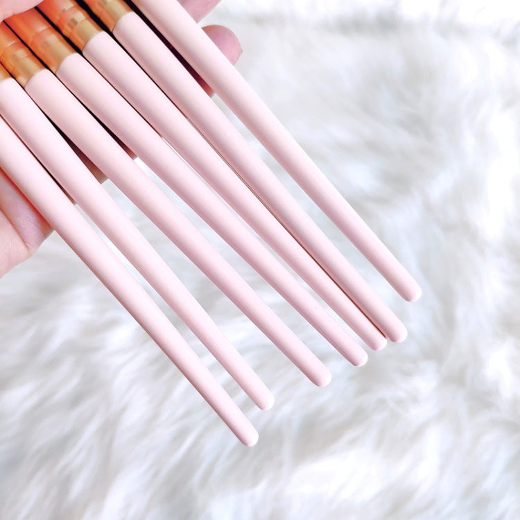 12 in 1 Makeup Brush Set Beauty Tool Brush for Beginners, Exterior color: 12 Makeup Brushes + Zipper Bag