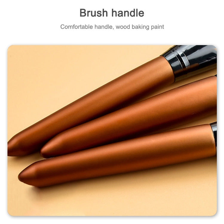12 in 1 Soft Quick-drying Makeup Brush Set for Beginner, Exterior color: 12 Makeup Brushes + Silver Bag