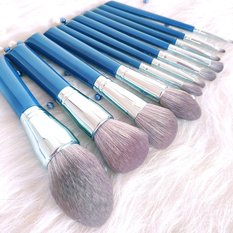 11 in 1 Makeup Brush Set Beauty Tool Brush for Beginners, Exterior color: 11 Makeup Brushes
