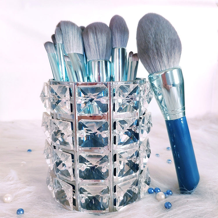 11 in 1 Makeup Brush Set Beauty Tool Brush for Beginners, Exterior color: 11 Makeup Brushes + Silver Tube