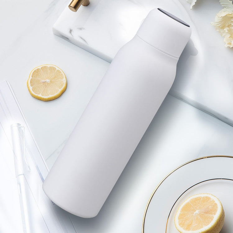 DNA Grade UV Sterilization USB Charging Stainless Steel Vacuum Flask, Capacity: 600ml