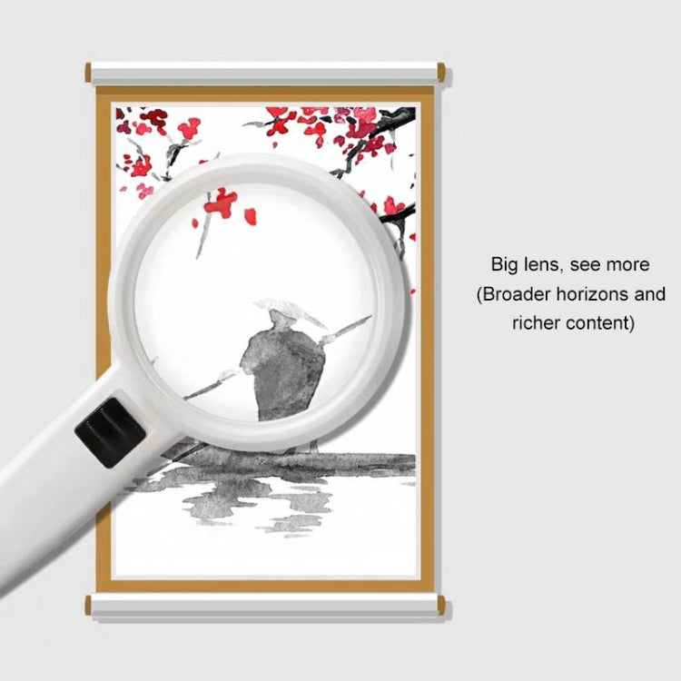 Handheld High-definition Lens with LED Light Reading and Maintenance Magnifying Glass for the Elderly, Style:110mm 30 Times Double Lens