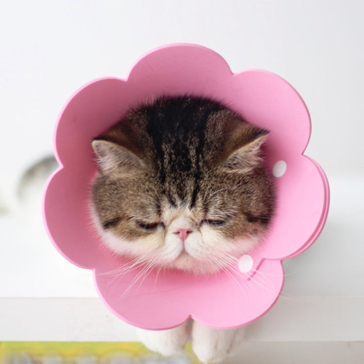 3 PCS Pet EVA Sponge Lick-proof Sterilization Collar, Size:XS 12-14cm