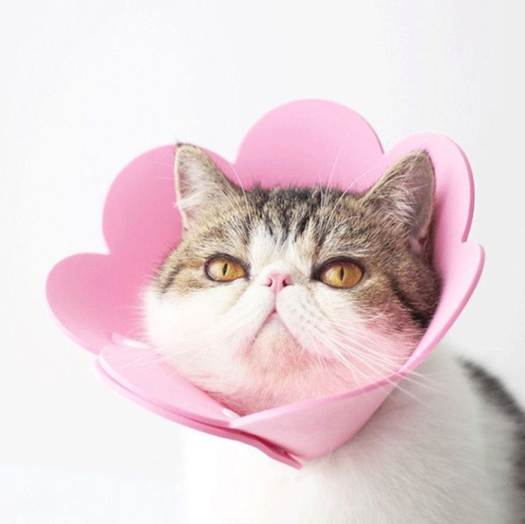 3 PCS Pet EVA Sponge Lick-proof Sterilization Collar, Size:M 22-27cm