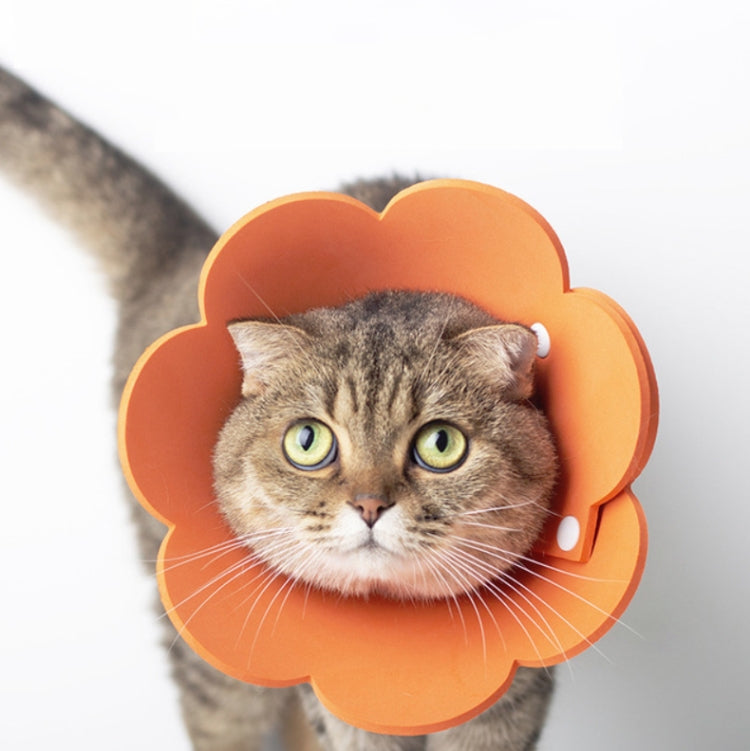 3 PCS Pet EVA Sponge Lick-proof Sterilization Collar, Size:L 28-36cm