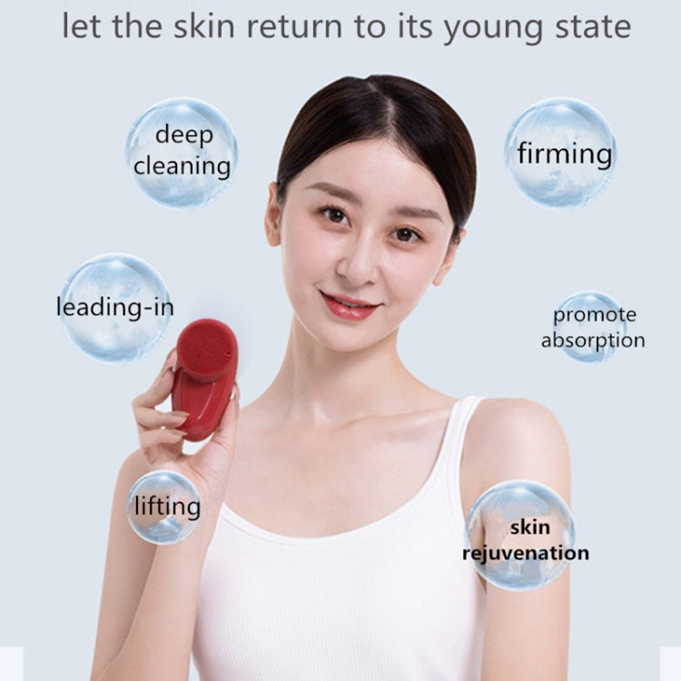 Multifunctional Temperature-sensing Cleansing Instrument Import Instrument Rejuvenation Beauty Instrument Facial Massager