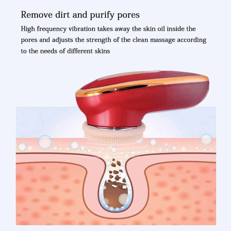 Multifunctional Temperature-sensing Cleansing Instrument Import Instrument Rejuvenation Beauty Instrument Facial Massager
