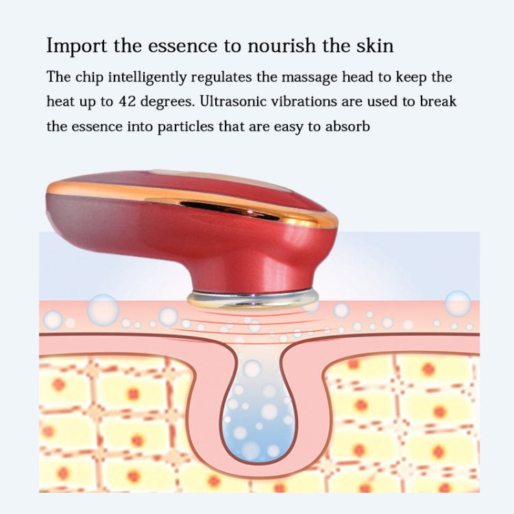 Multifunctional Temperature-sensing Cleansing Instrument Import Instrument Rejuvenation Beauty Instrument Facial Massager