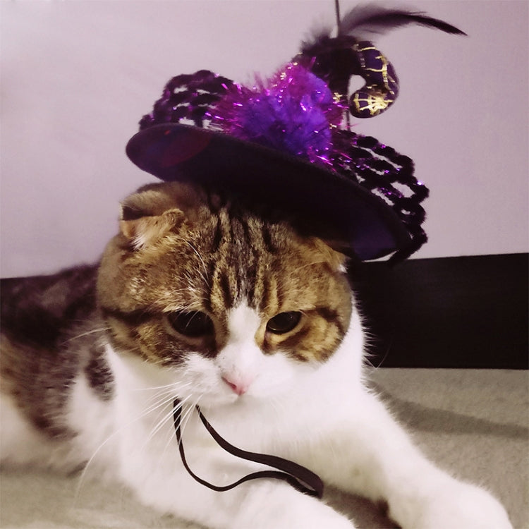 Pet Supplies Halloween Funny Spider Pet Hat, Size: One Size