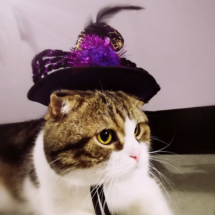 Pet Supplies Halloween Funny Spider Pet Hat, Size: One Size
