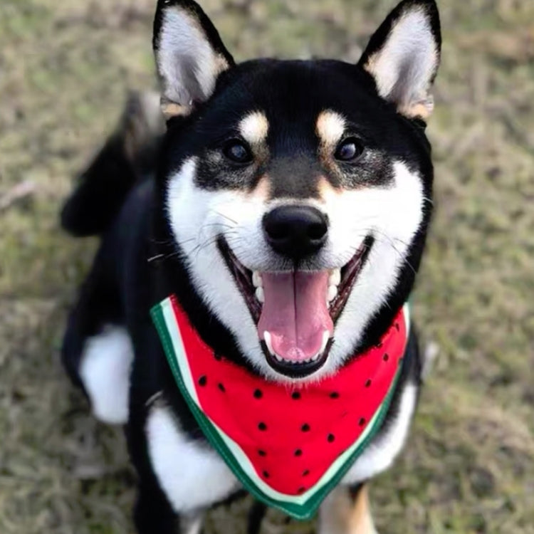 Watermelon Pattern Dog Scarf Three-layer Thick Waterproof Saliva Towel, Size: M