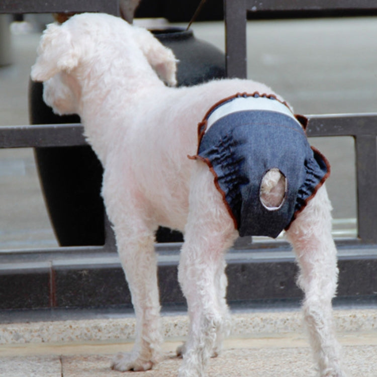 Anti-sorrow Female Dog Physiological Pants Urine-proof And Wet Pet Leak-proof Underwear, Size:S