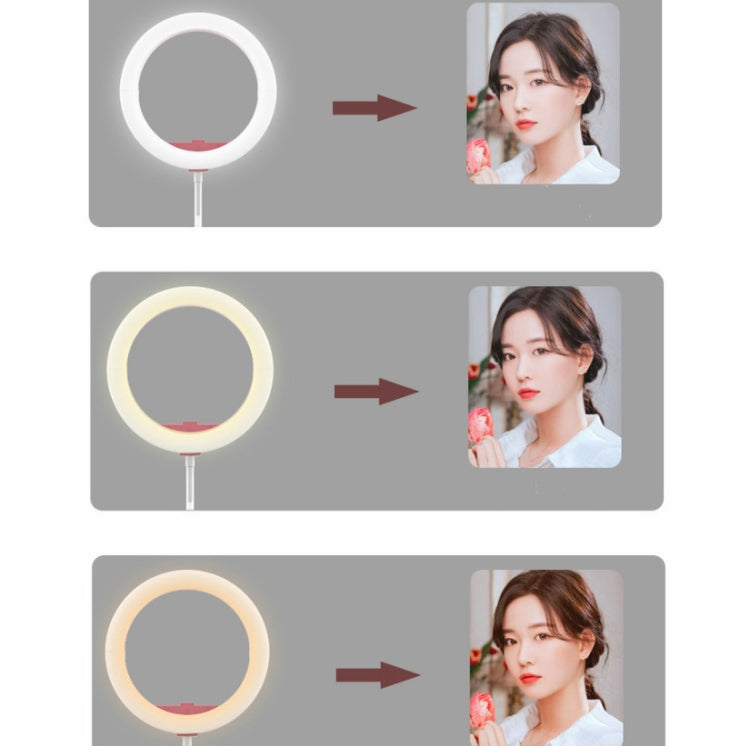 10 inch Portable Foldable Mobile Phone Ring Selfie Beauty Fill Light