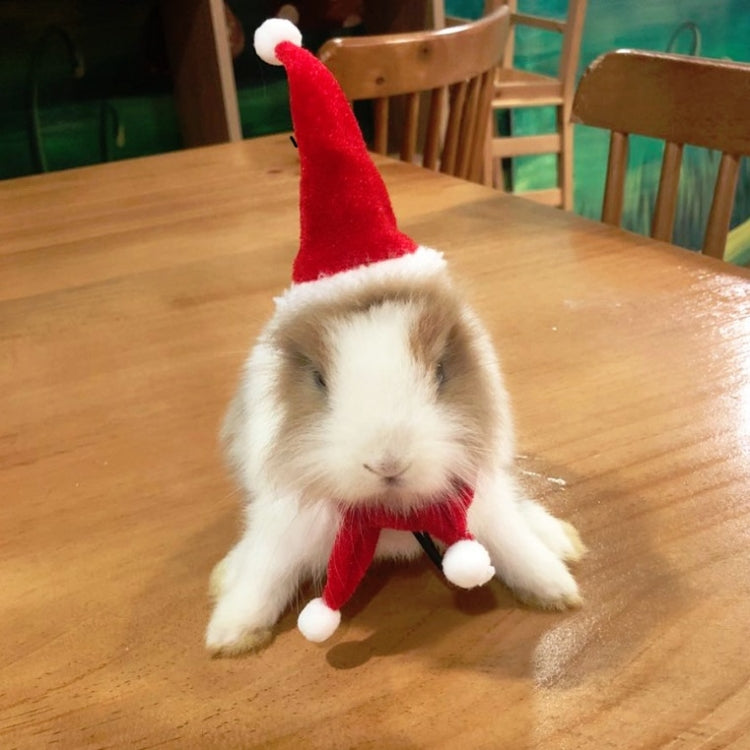 Lizard Crawling Pet Out Christmas Dress Up, Specification: Hat+Scarf