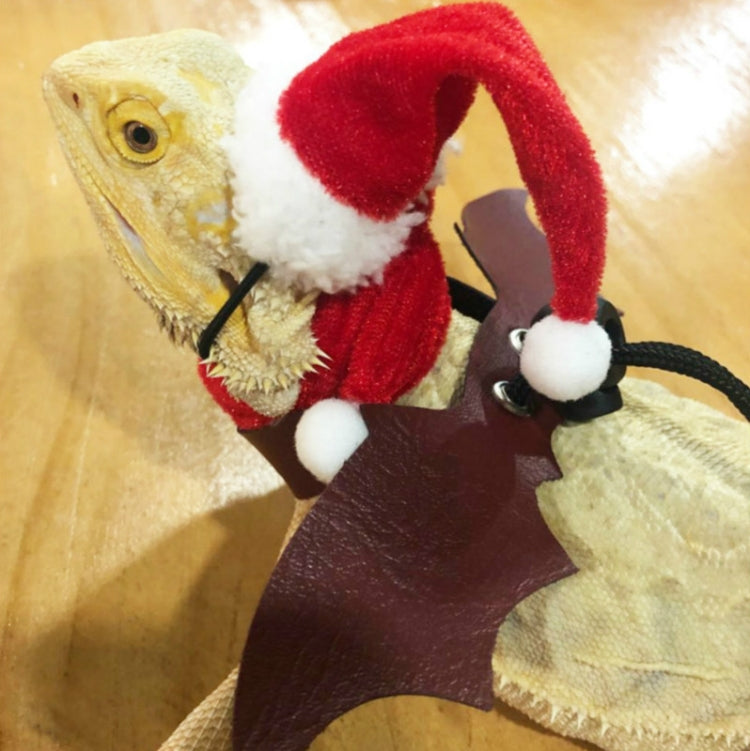 Lizard Crawling Pet Out Christmas Dress Up, Specification: Hat+Scarf+Traction Rope