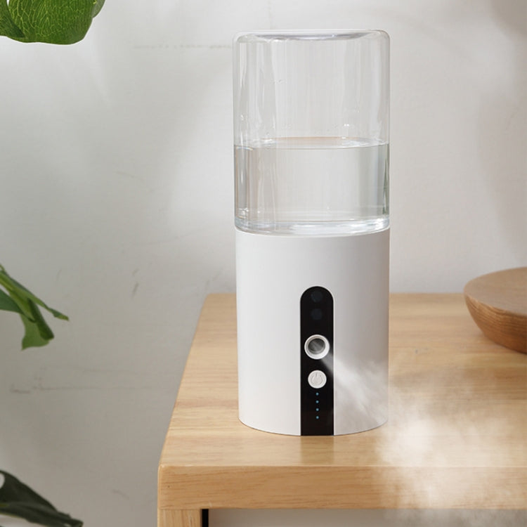Wall-Mounted Disinfection Sprayer Multifunctional Household Outdoor Humidifier Auto-Sensing Alcohol Disinfectant Sprayer