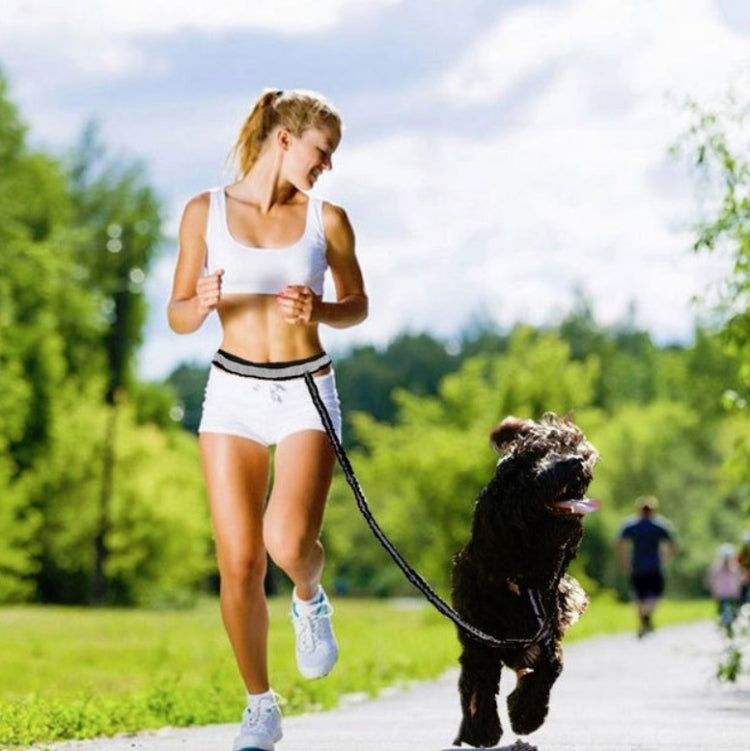 Dog Running Reflective Adjustable Belt Traction Rope with Small Bag, Specification:4-Piece Set
