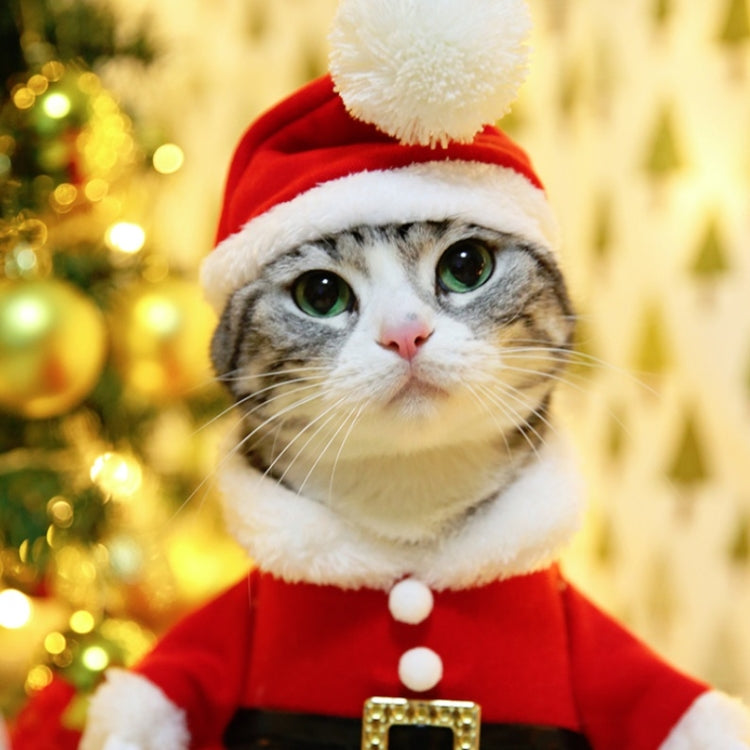 Pet Three-Dimensional Christmas Suit, Size: M