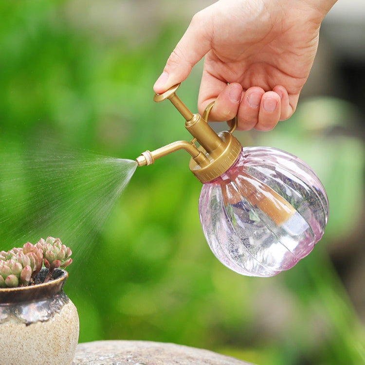 350ml Pumpkin Plastic Gardening Pot Antique Bronze Vintage Style Plants Watering Hand Pressure Spray Craft Bottle
