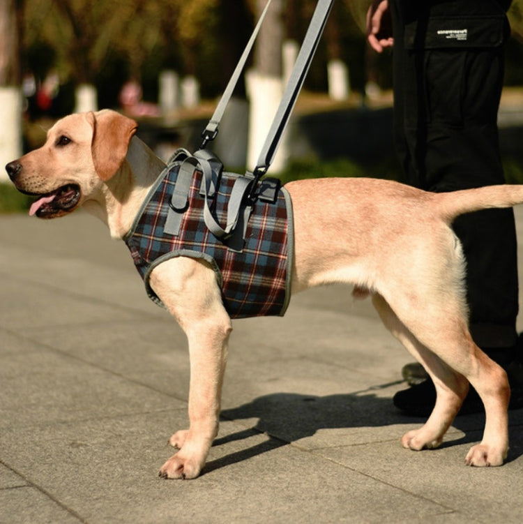 Pet Leg Straps Disabled & Injured Elderly Dog Auxiliary Belt, Size: XL, Style:Front Leg