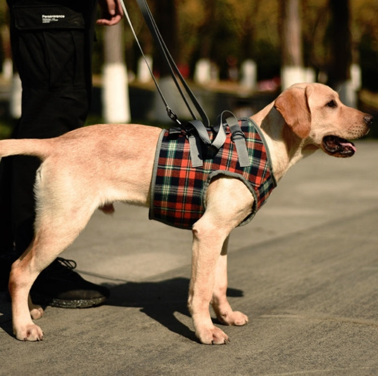 Pet Leg Straps Disabled & Injured Elderly Dog Auxiliary Belt, Size: XL, Style:Front Leg