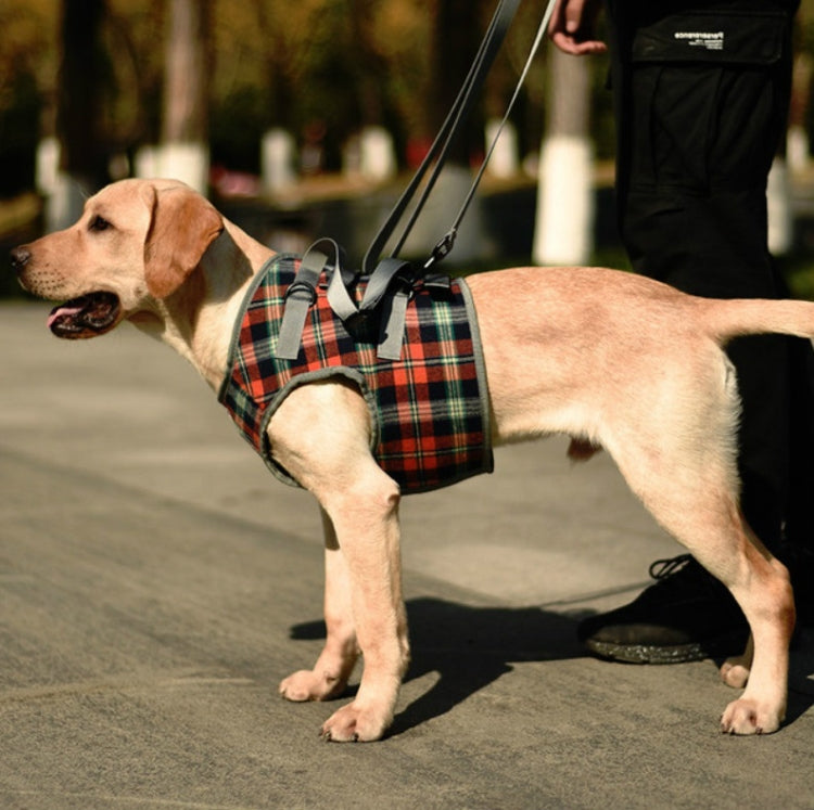Pet Leg Straps Disabled & Injured Elderly Dog Auxiliary Belt, Size: XL, Style:Front Leg