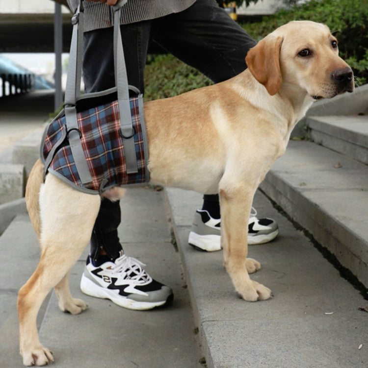 Pet Leg Straps Disabled & Injured Elderly Dog Auxiliary Belt, Size: XL, Style:Hind Leg