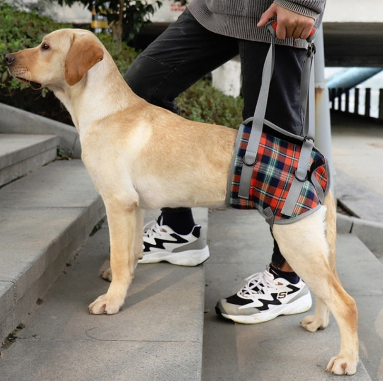 Pet Leg Straps Disabled & Injured Elderly Dog Auxiliary Belt, Size: XL, Style:Hind Leg