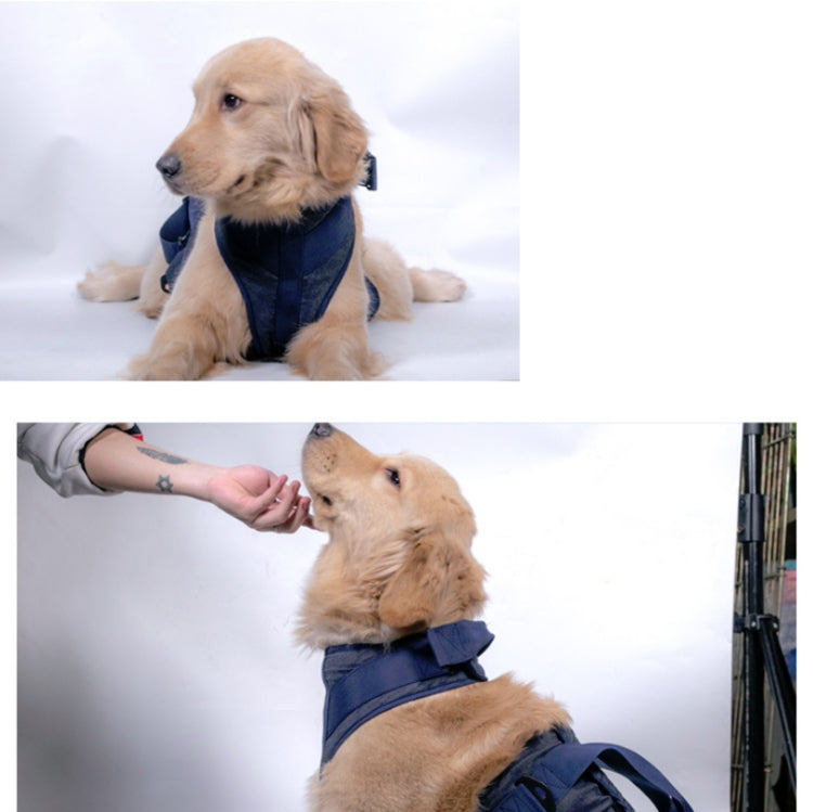 Pet Leash Senior Dogs Walking Aids Chest Harness, Size: XL