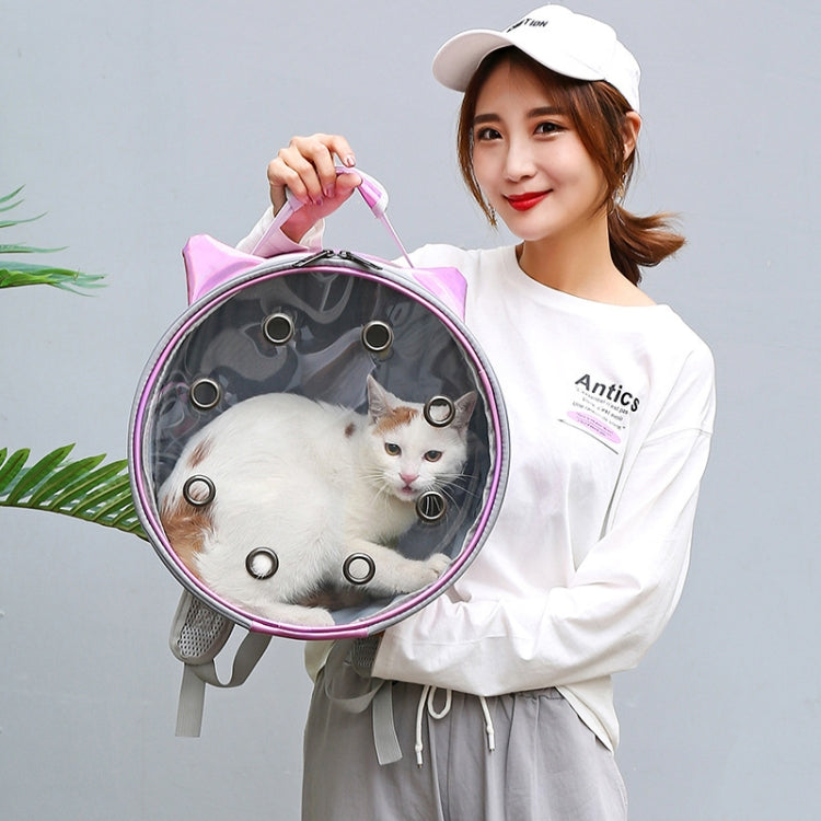 Pet Breathable Transparent Go Out Lightweight Backpack