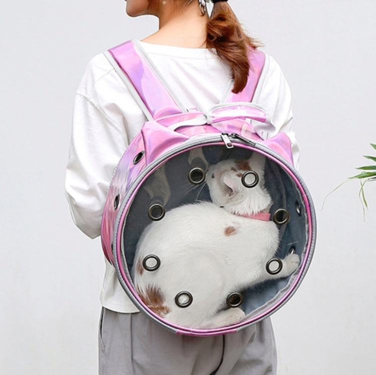 Pet Breathable Transparent Go Out Lightweight Backpack