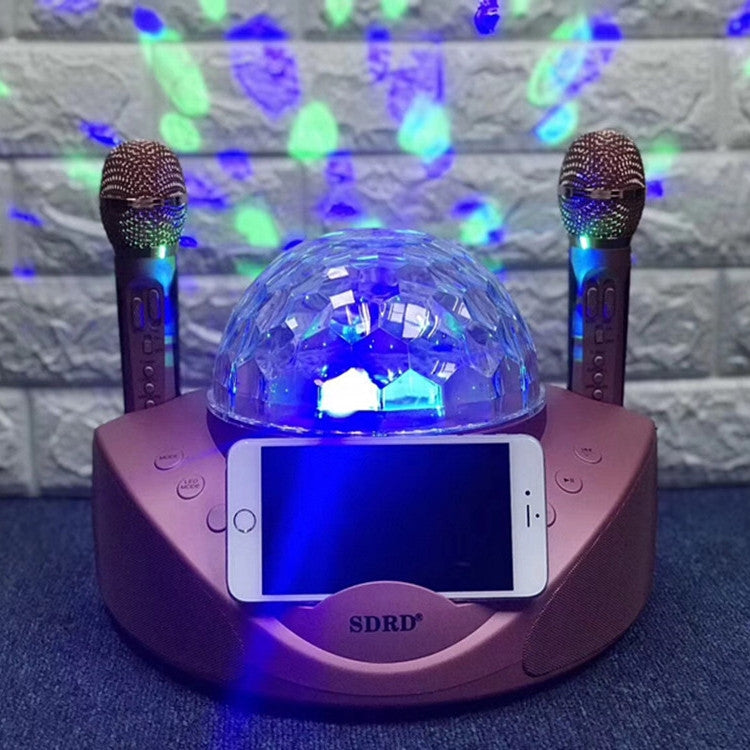 SDRD SD-308 2 in 1 Family KTV Portable Wireless Live Dual Microphone + Bluetooth Speaker