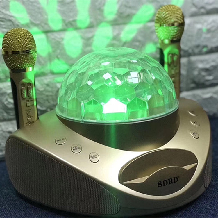SDRD SD-308 2 in 1 Family KTV Portable Wireless Live Dual Microphone + Bluetooth Speaker