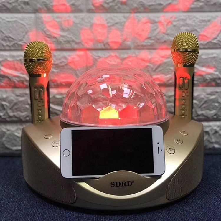 SDRD SD-308 2 in 1 Family KTV Portable Wireless Live Dual Microphone + Bluetooth Speaker