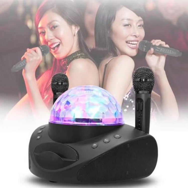 SDRD SD-308 2 in 1 Family KTV Portable Wireless Live Dual Microphone + Bluetooth Speaker