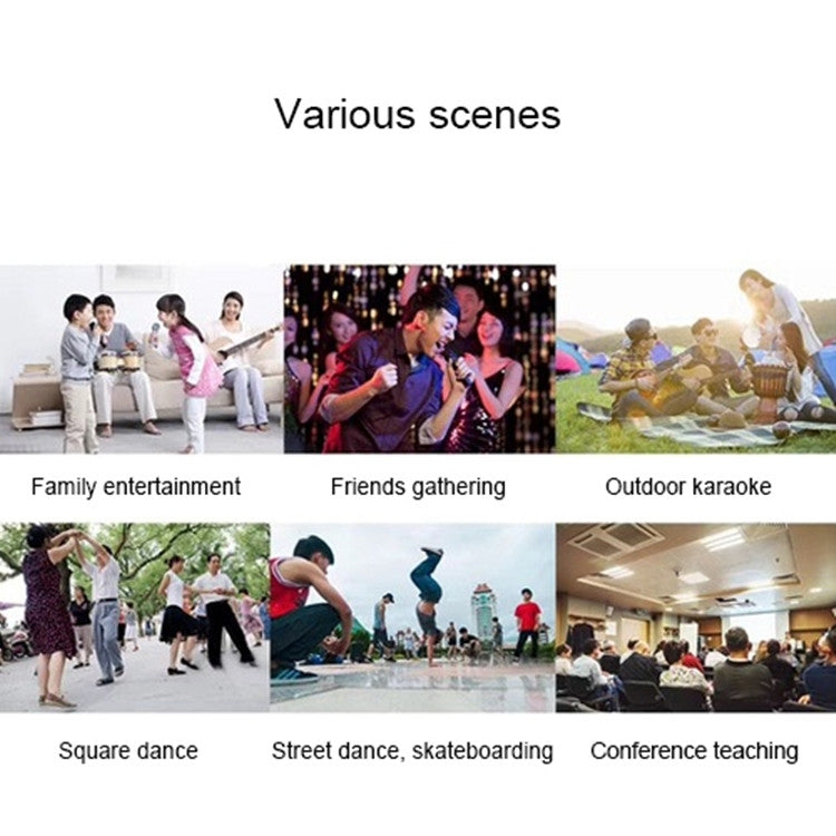 SDRD SD-308 2 in 1 Family KTV Portable Wireless Live Dual Microphone + Bluetooth Speaker