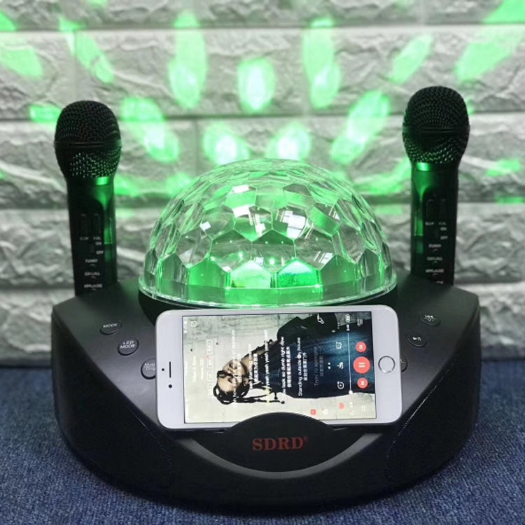 SDRD SD-308 2 in 1 Family KTV Portable Wireless Live Dual Microphone + Bluetooth Speaker