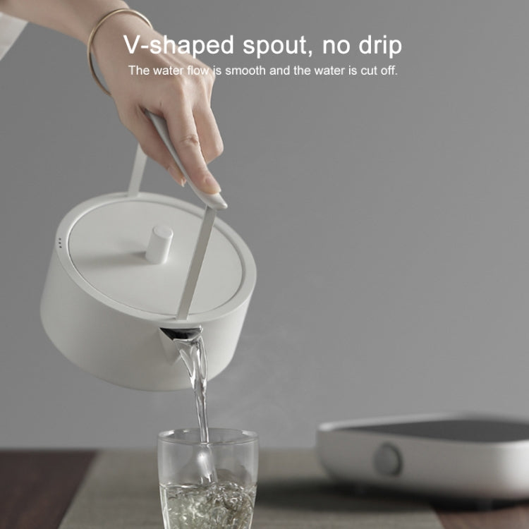 304 Stainless Steel Bubble Teapot