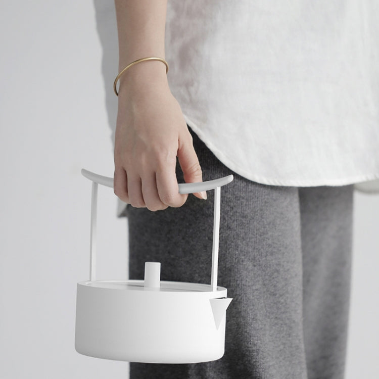 304 Stainless Steel Bubble Teapot