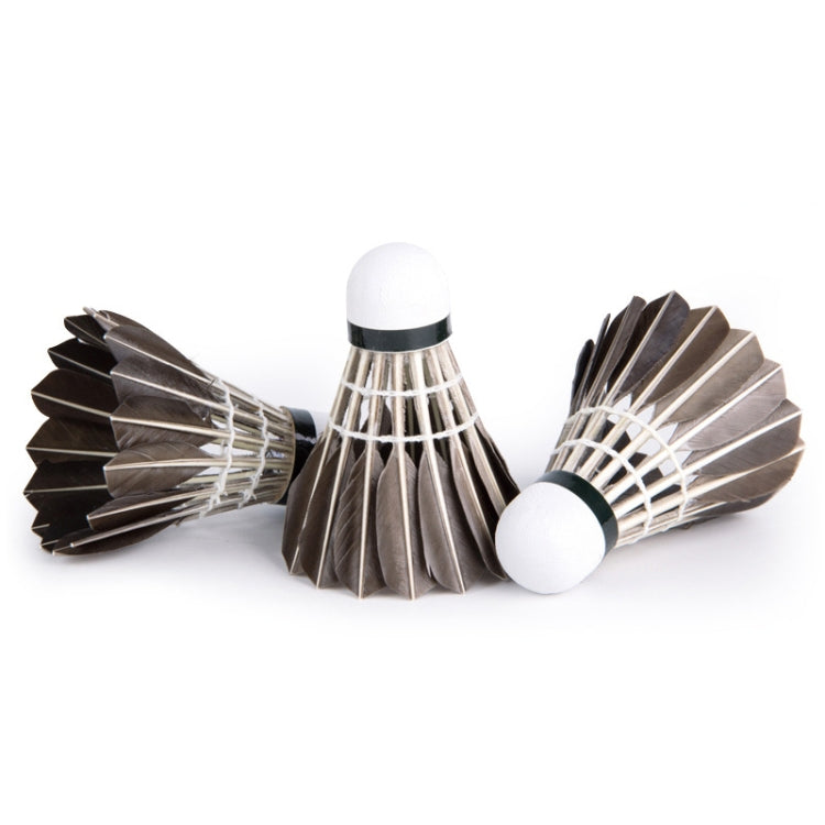 PTOTOP TP4137 12 in 1 Black Goose Feather Material Professional Competition Training Badminton