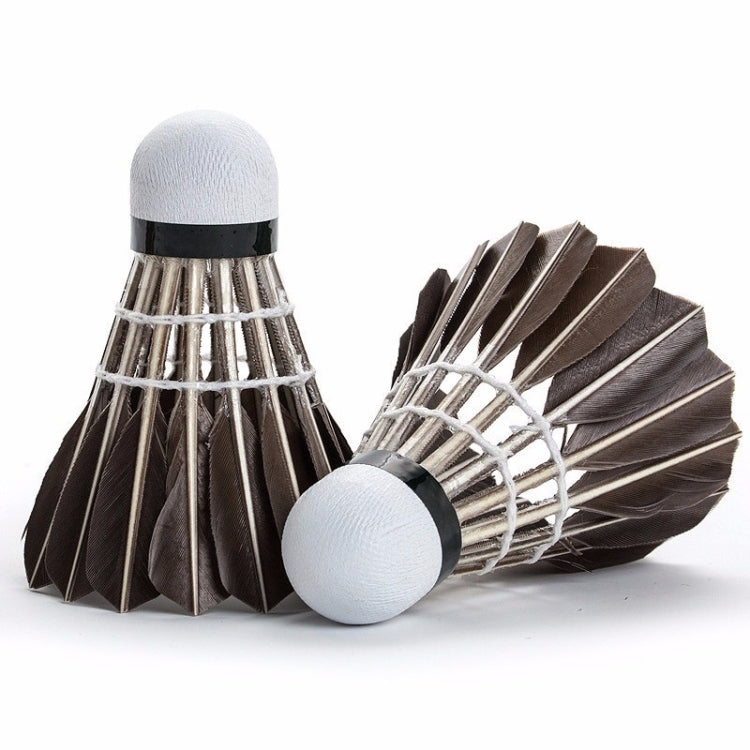 PTOTOP TP4137 12 in 1 Black Goose Feather Material Professional Competition Training Badminton
