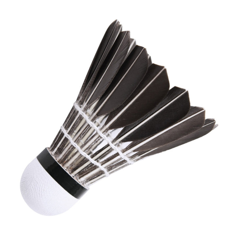 PTOTOP TP4137 12 in 1 Black Goose Feather Material Professional Competition Training Badminton
