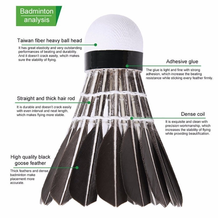 PTOTOP TP4137 12 in 1 Black Goose Feather Material Professional Competition Training Badminton